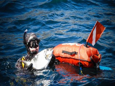 Equipement chasse sous marine villetard à rouen 76